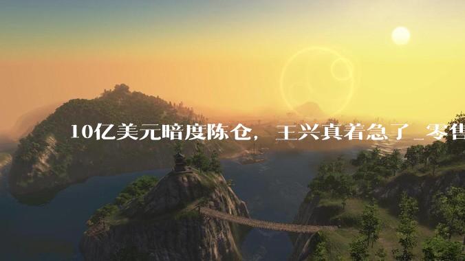 10亿美元暗度陈仓，王兴真着急了_零售_核心_亏损
