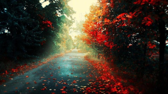 机构称内存价格一季度环比上涨90%，预计行业盈利水平创新高_设备_供应_市场